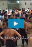 Halab, Zehra Teri Lehad Par